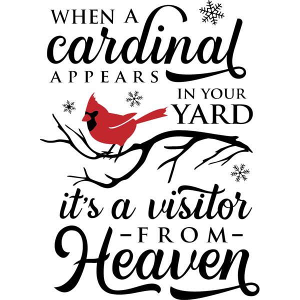 When a cardinal appears   black 2 Photoroom Thumbnail